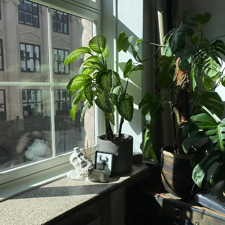 Apartman Art Loft In Downtown With Cinema Oslo