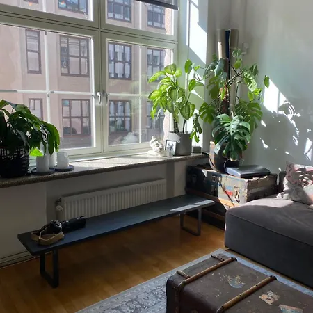 Art Loft In Downtown With Cinema *